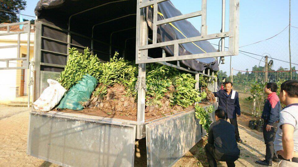 dự án hương sơn hà tĩnh