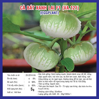 Cây phong thủy