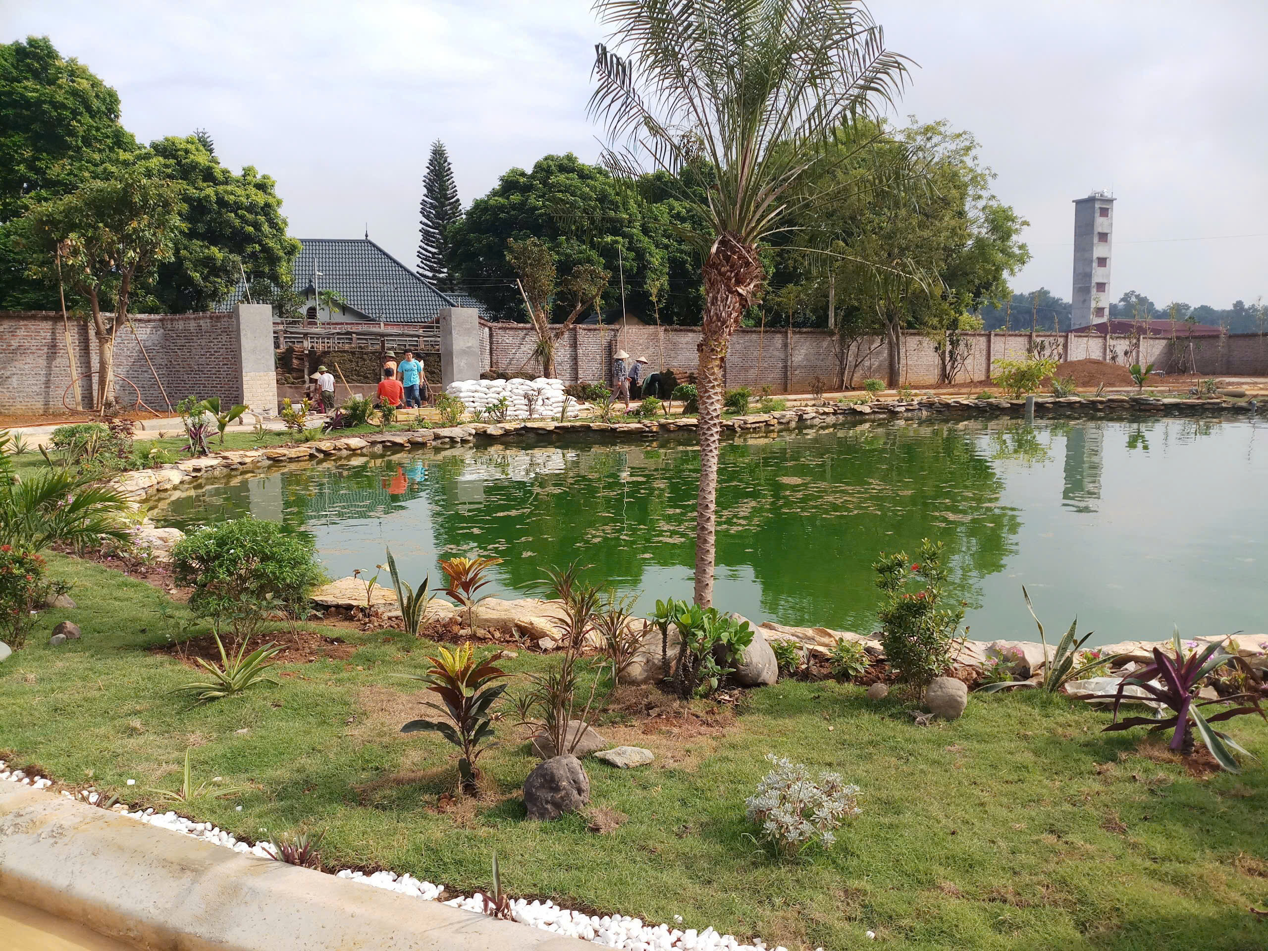 8 cách chăm sóc cây cảnh vào mùa hè