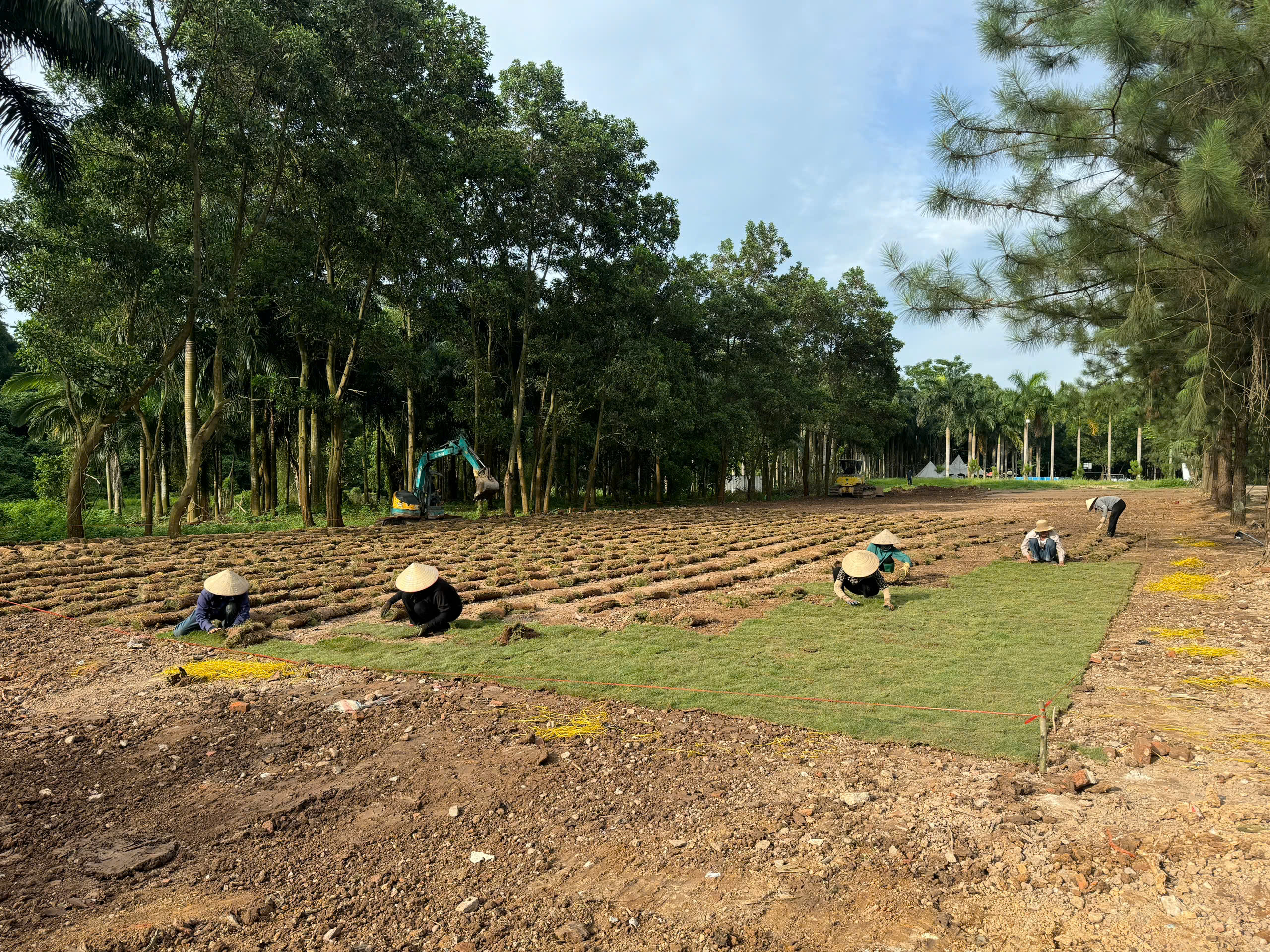 Dự án Thi công cỏ Nhật tại Hoà Lạc - Hà Nội