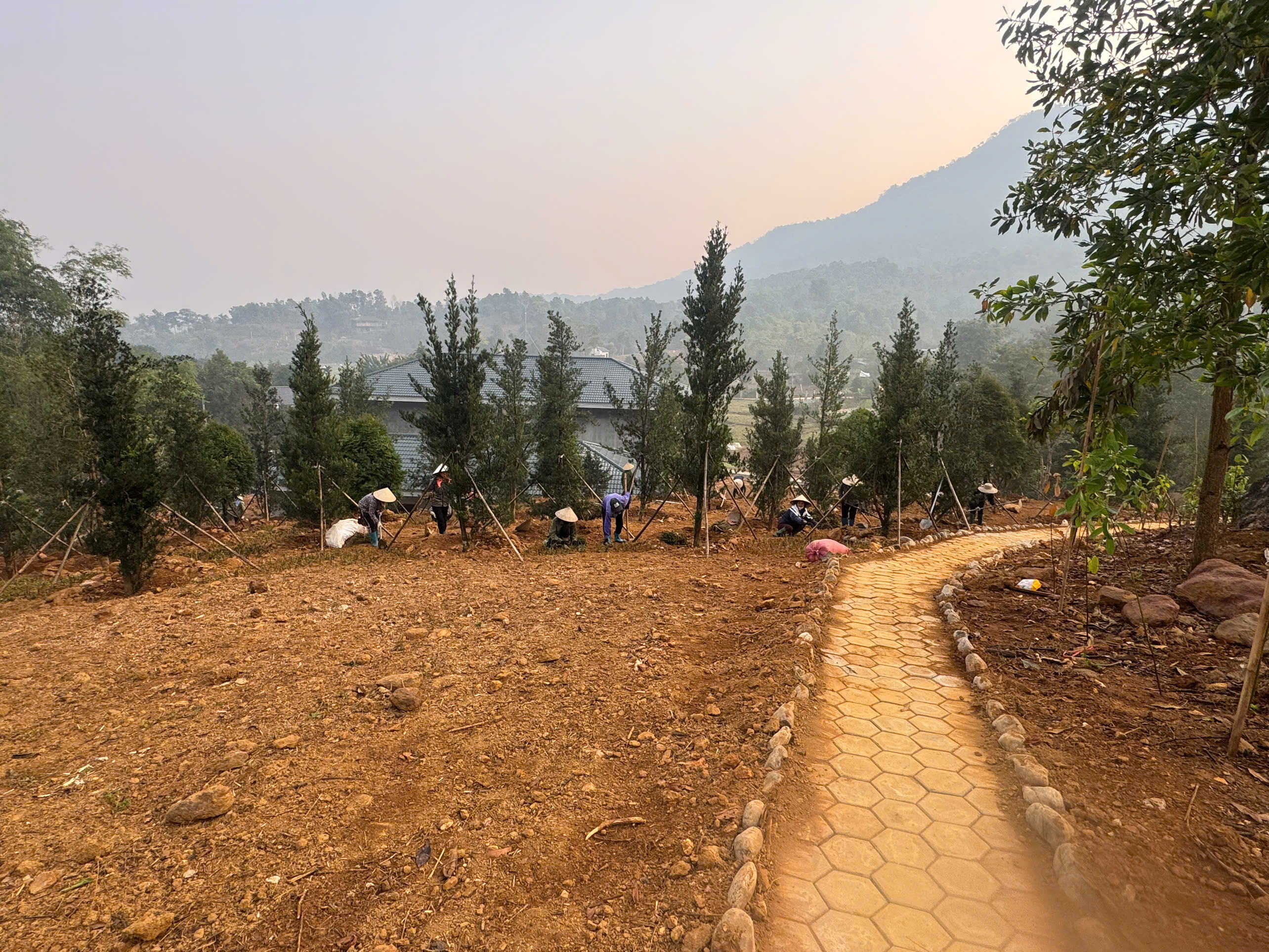 Công trình trồng cây mặt đất trên Ba Vì Hà Nội